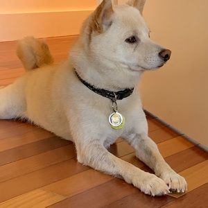 Meet your Posher, Hugo